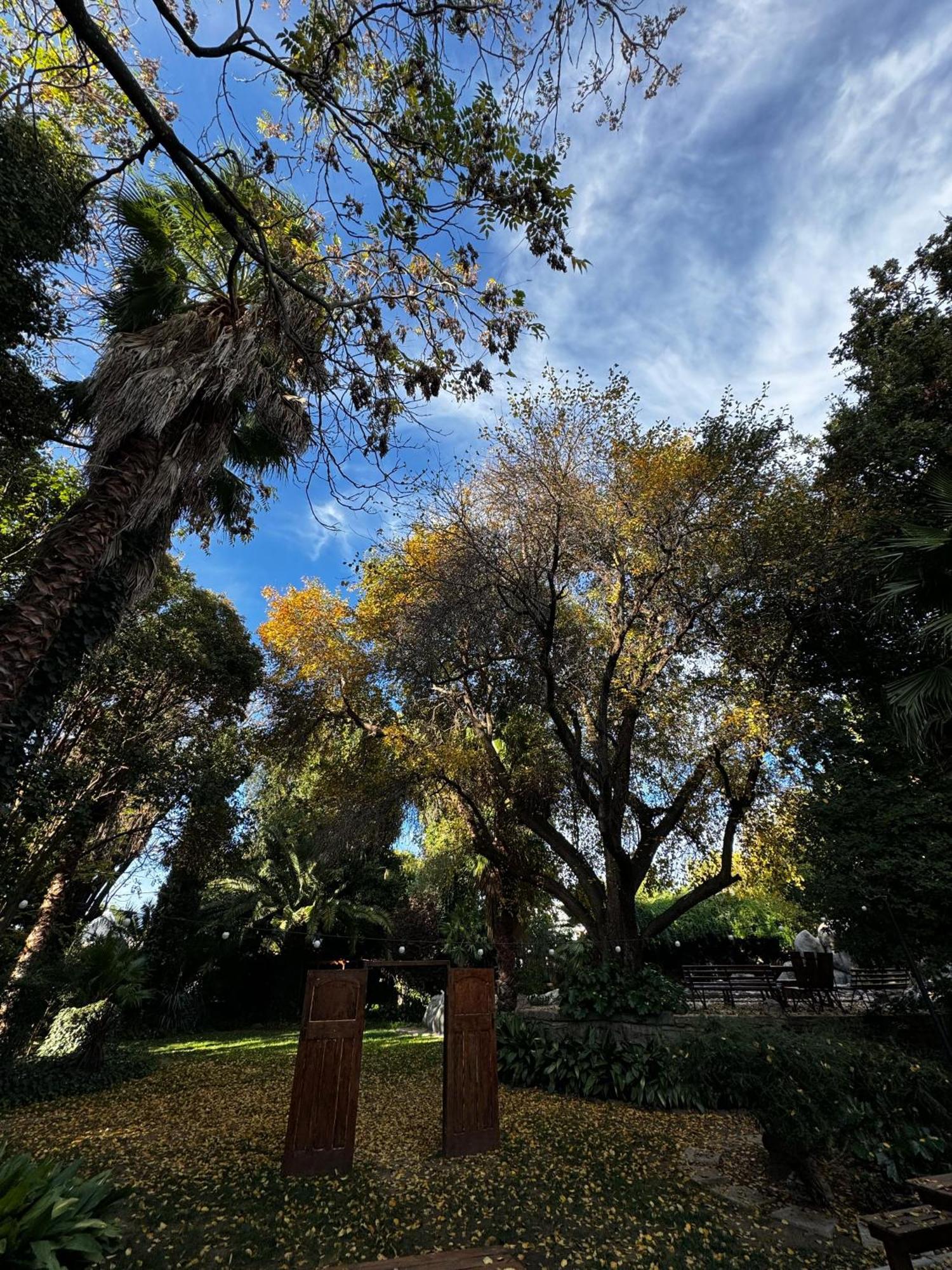The Palms Venue & Accommodation Cradock Buitenkant foto